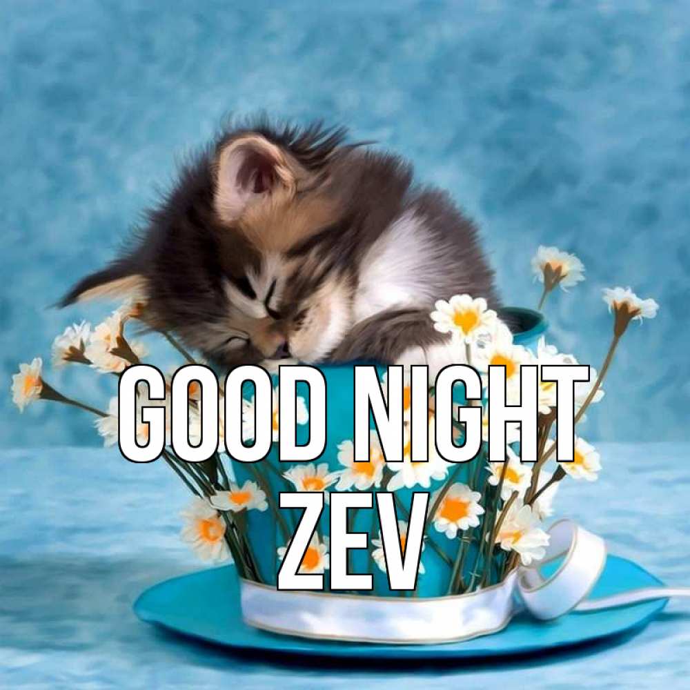 Greetings card с именем, Zev Good night котенок спит в кружке с блюдцем Greetings with text for free download 
