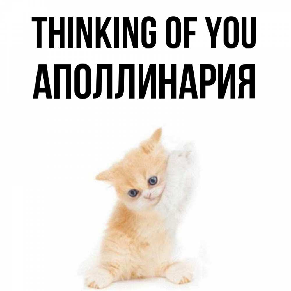 Greetings card с именем, Аполлинария Thinking of you зверушки и милота Greetings with text for free download 
