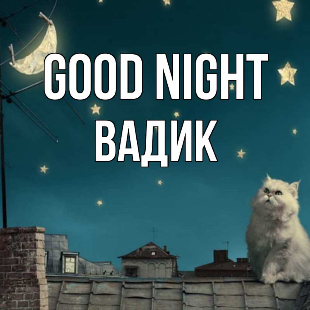 Greetings card с именем, Вадик Good night белый кот сидит на крыше Greetings with text for free download 