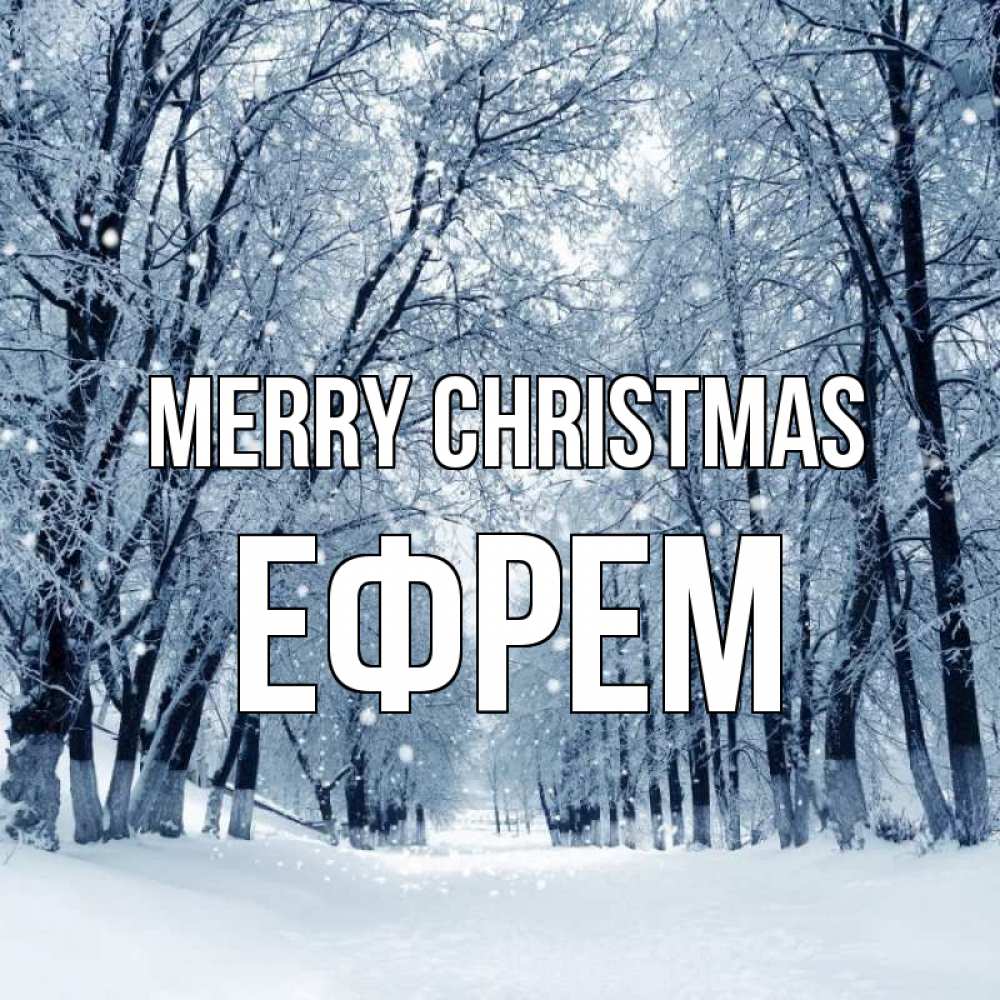 Greetings card с именем, Ефрем Merry Christmas снег, лес, парк Greetings with text for free download 