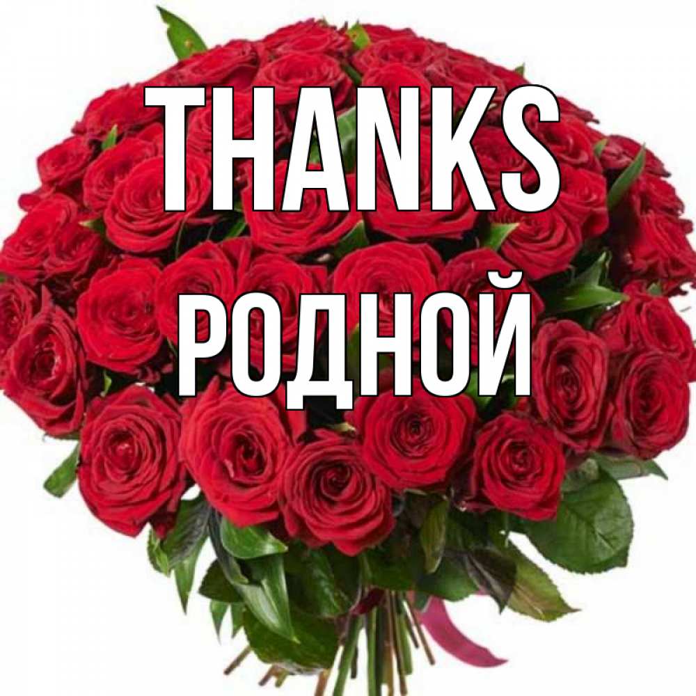Greetings card с именем, Родной Thanks букет красных роз Greetings with text for free download 