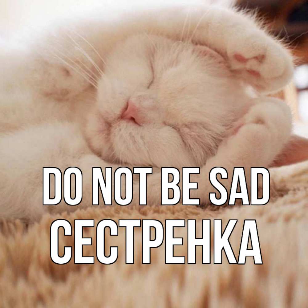 Greetings card с именем, Сестренка Do not be sad белый кот Greetings with text for free download 