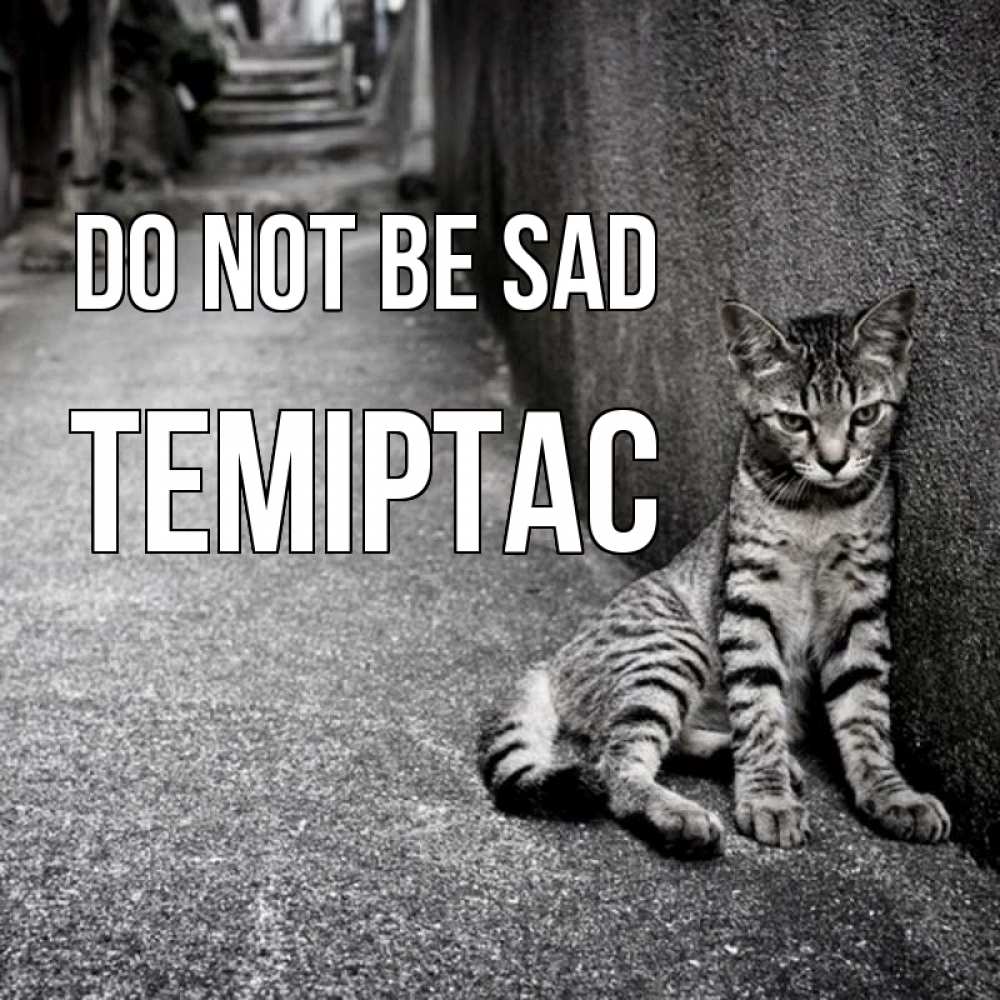 Greetings card с именем, ТЕМІРТАС Do not be sad скучающий котик Greetings with text for free download 