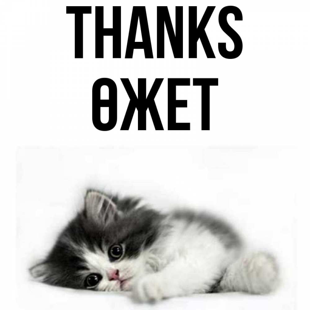 Greetings card с именем, ӨЖЕТ Thanks черный и белый кот Greetings with text for free download 