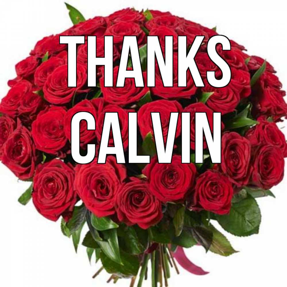 Greetings card с именем, Calvin Thanks букет красных роз Greetings with text for free download 
