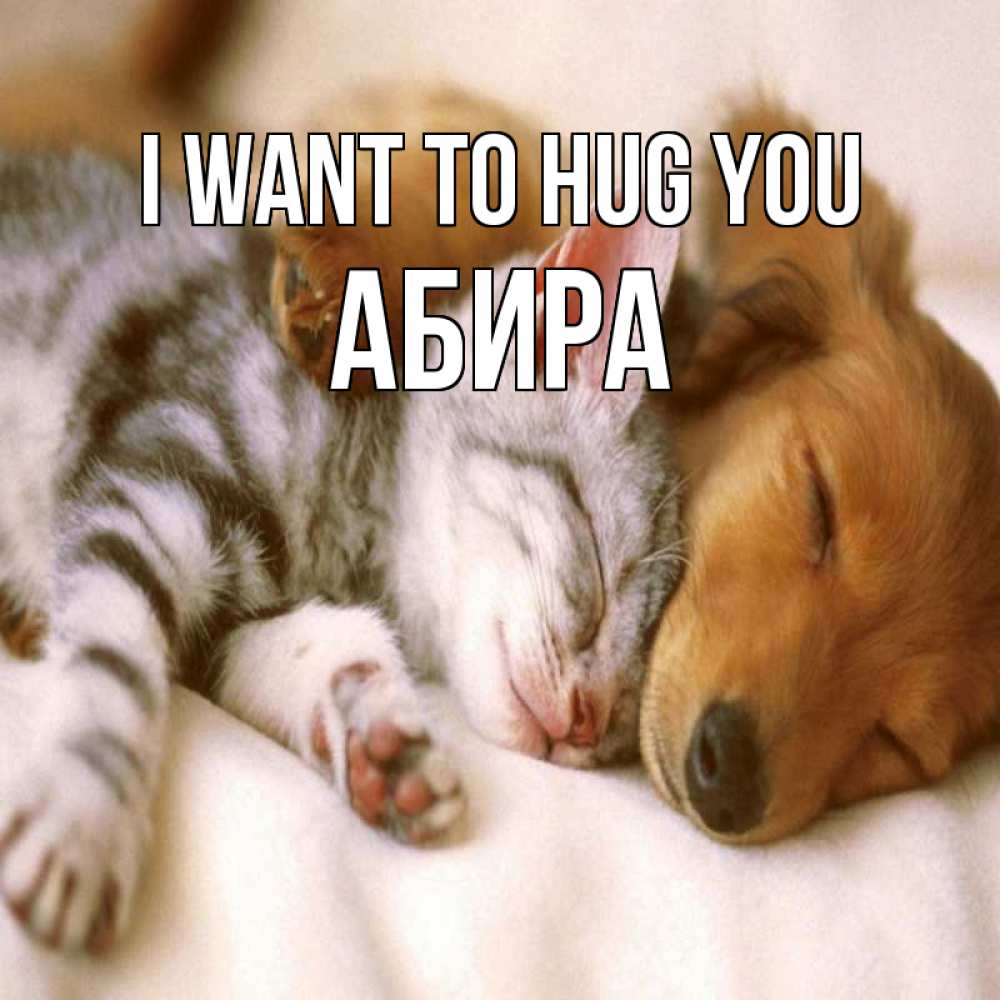 Greetings card с именем, АБИРА I want to hug you пес и котенок Greetings with text for free download 