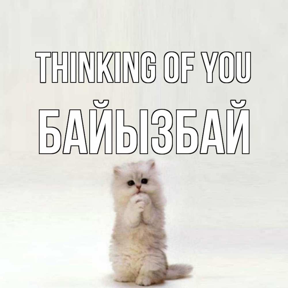 Greetings card с именем, Байызбай Thinking of you кот стоит на задних лапах Greetings with text for free download 