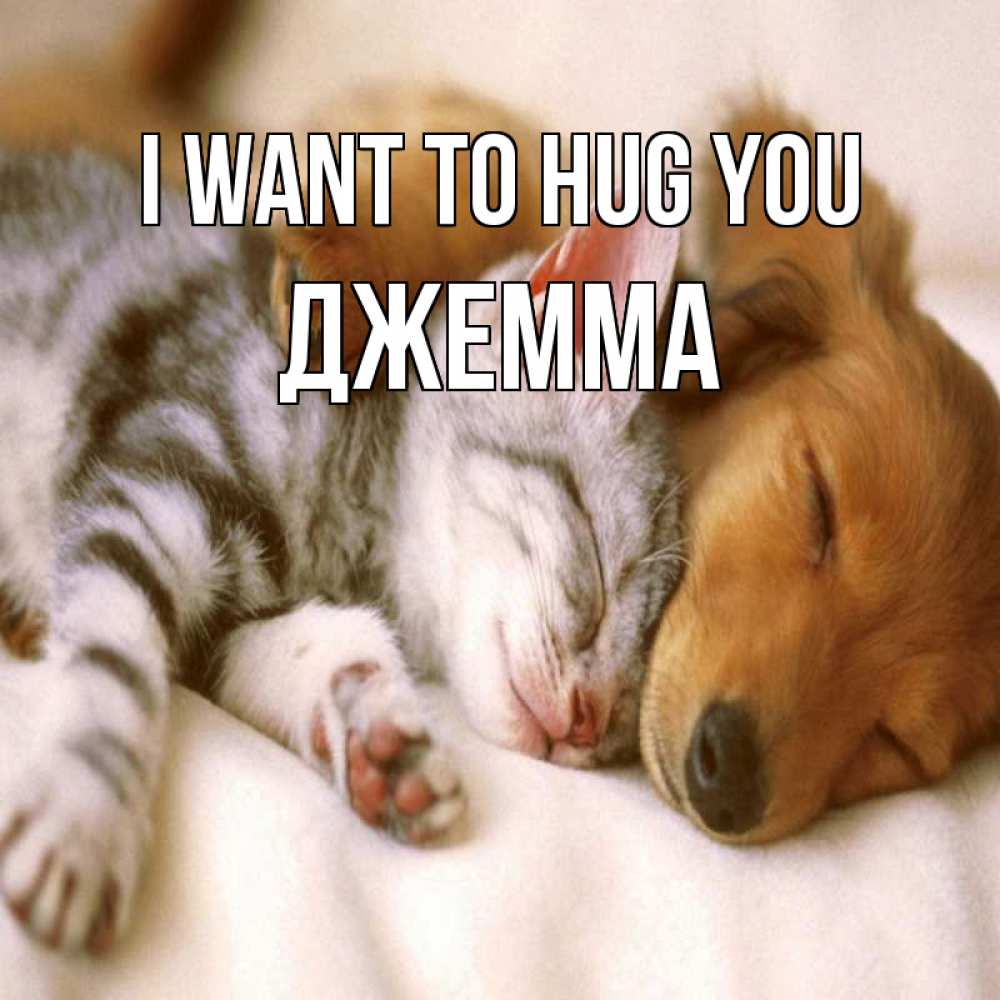 Greetings card с именем, Джемма I want to hug you пес и котенок Greetings with text for free download 