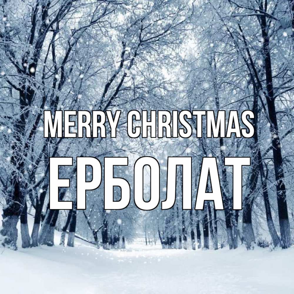 Greetings card с именем, Ерболат Merry Christmas снег, лес, парк Greetings with text for free download 