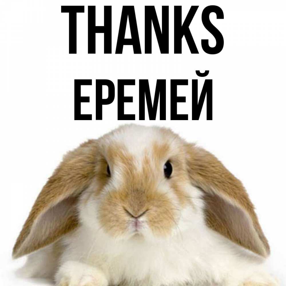 Greetings card с именем, Еремей Thanks коричнево белый заяц Greetings with text for free download 