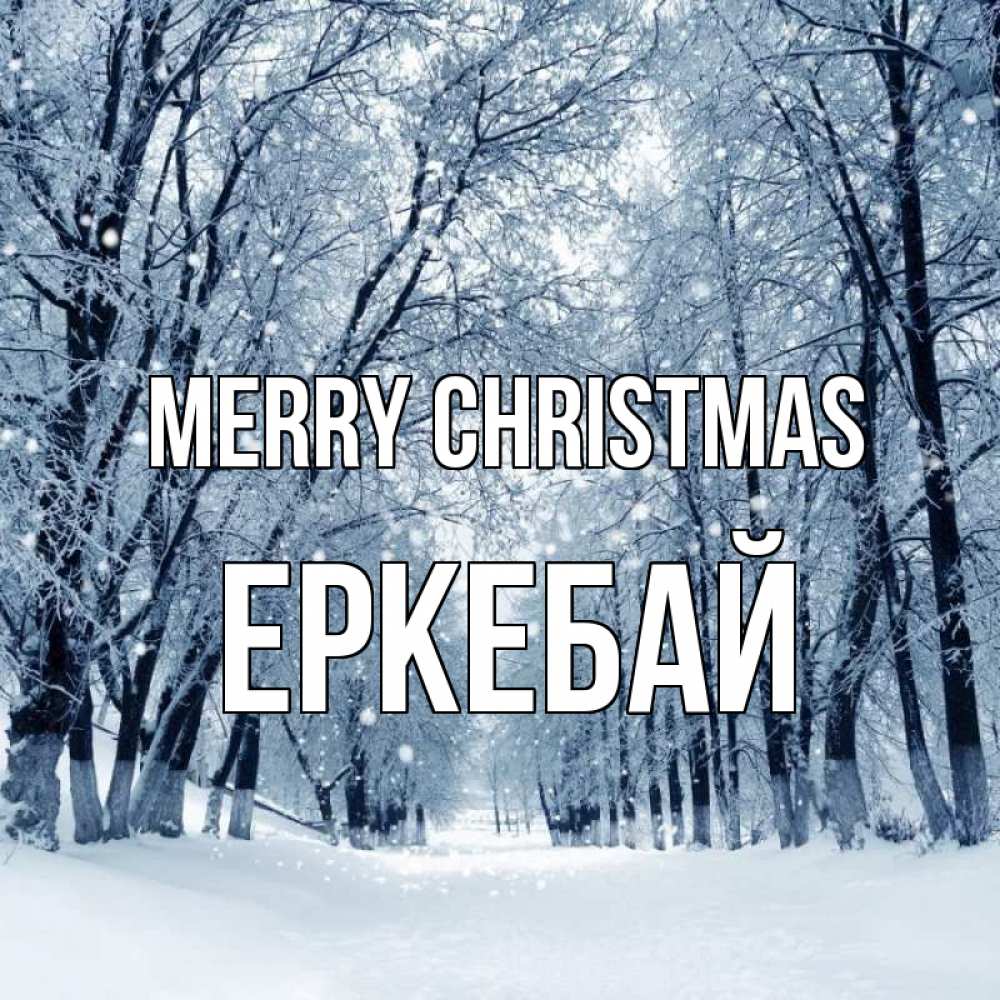 Greetings card с именем, Еркебай Merry Christmas снег, лес, парк Greetings with text for free download 