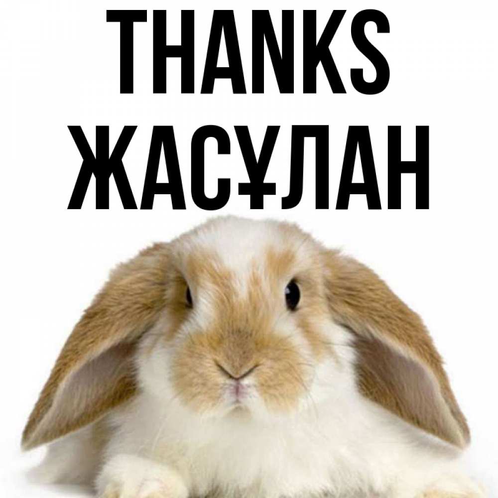 Greetings card с именем, Жасұлан Thanks коричнево белый заяц Greetings with text for free download 
