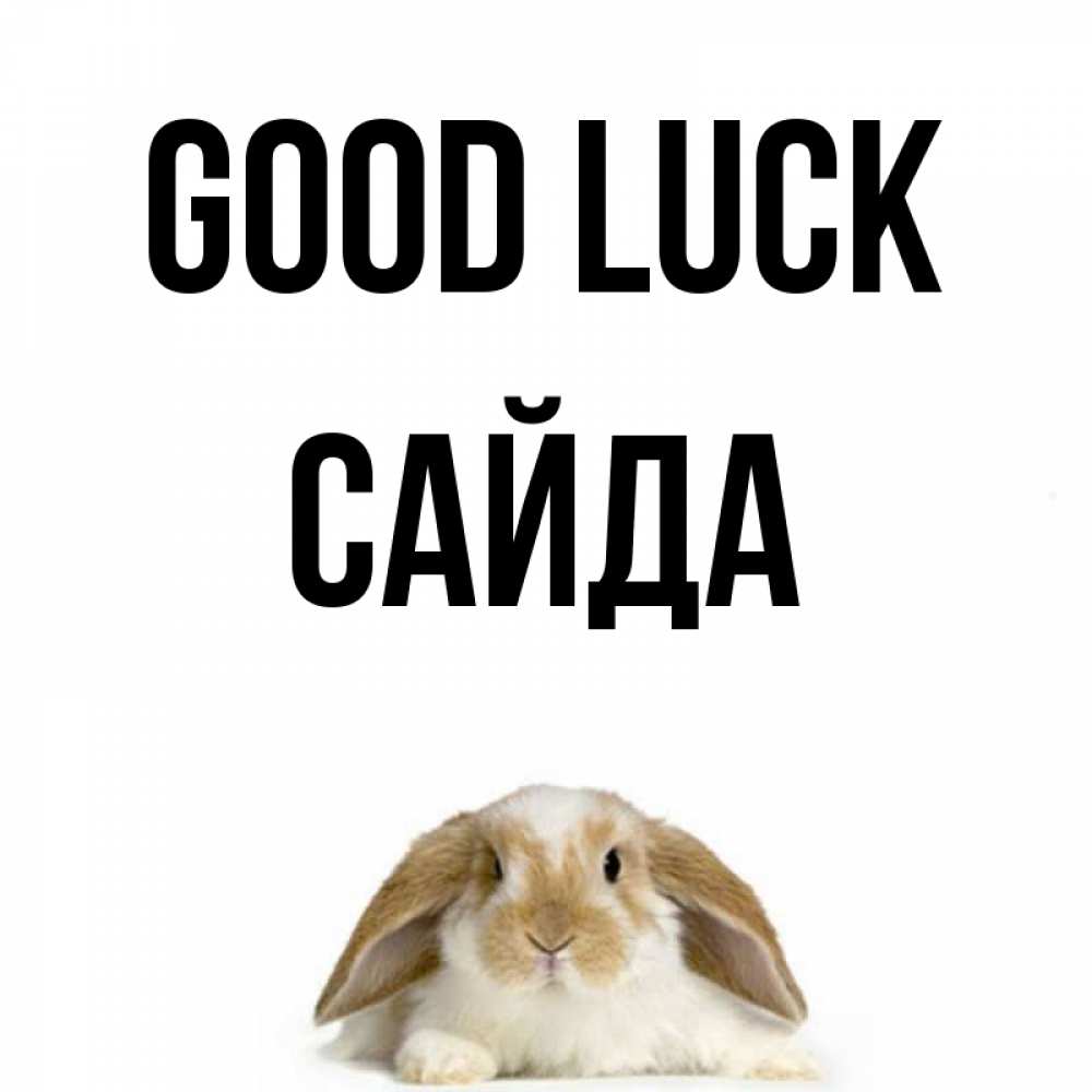 Greetings card с именем, САЙДА Good luck открытки с произвольным текстом который можно вставить в открытку и создать ее самостоятельно бесплатно онлайн Greetings with text for free download 