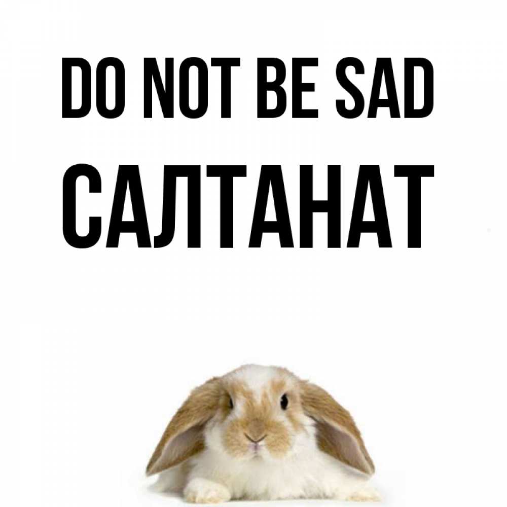 Greetings card с именем, САЛТАНАТ Do not be sad коричнево белый заяц с большими ушками Greetings with text for free download 