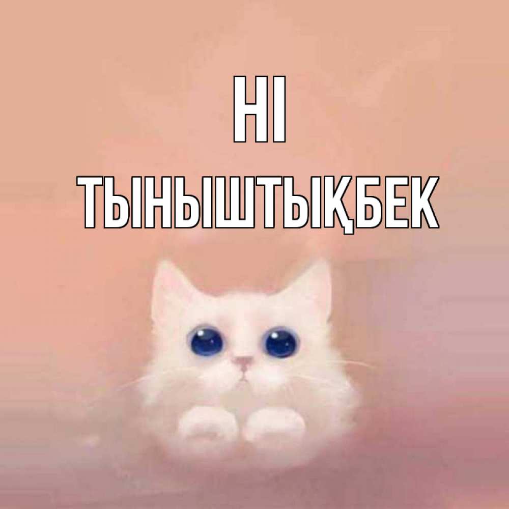 Greetings card с именем, ТЫНЫШТЫҚБЕК Hi котик белый в полете Greetings with text for free download 