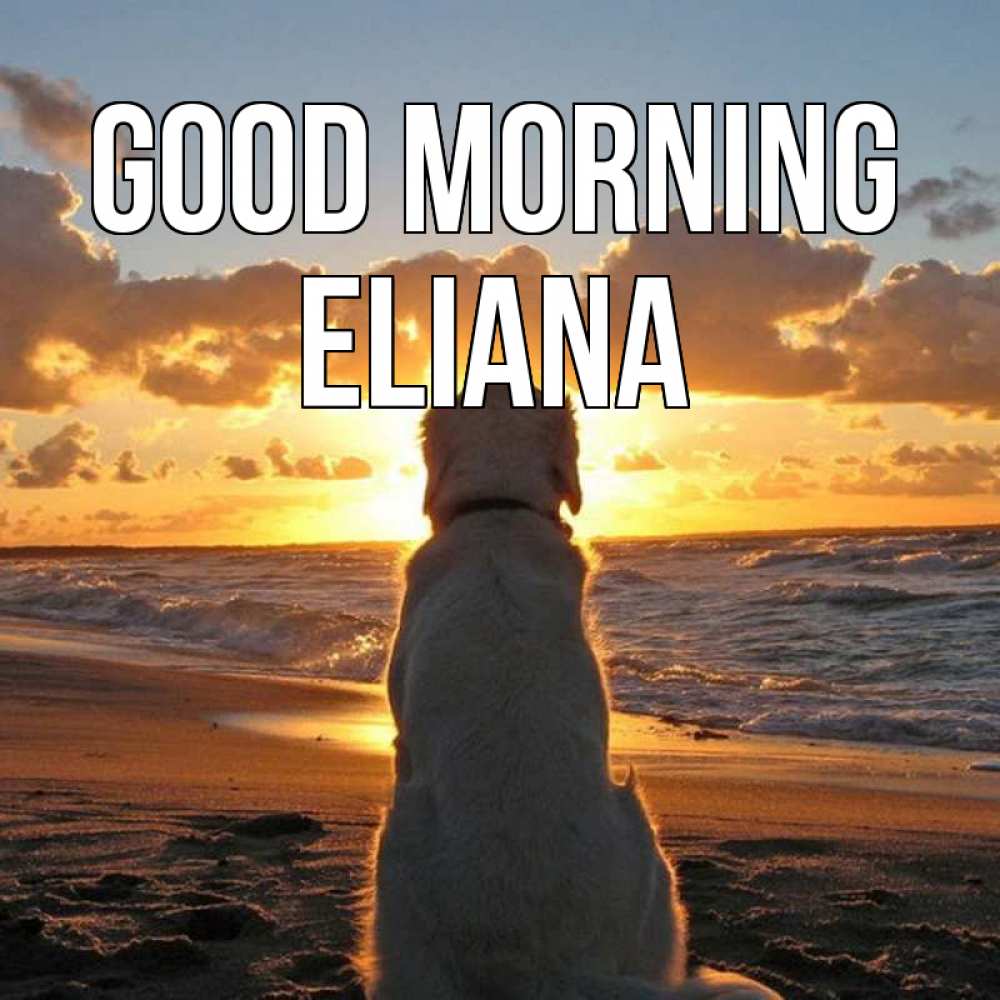 Greetings card с именем, Eliana Good morning восход солнца Greetings with text for free download 