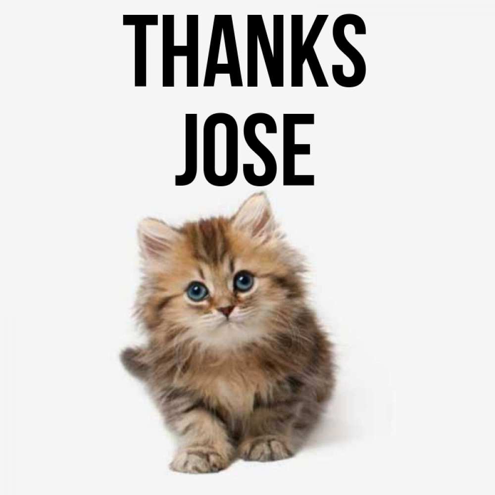 Greetings card с именем, Jose Thanks пушистый котик Greetings with text for free download 