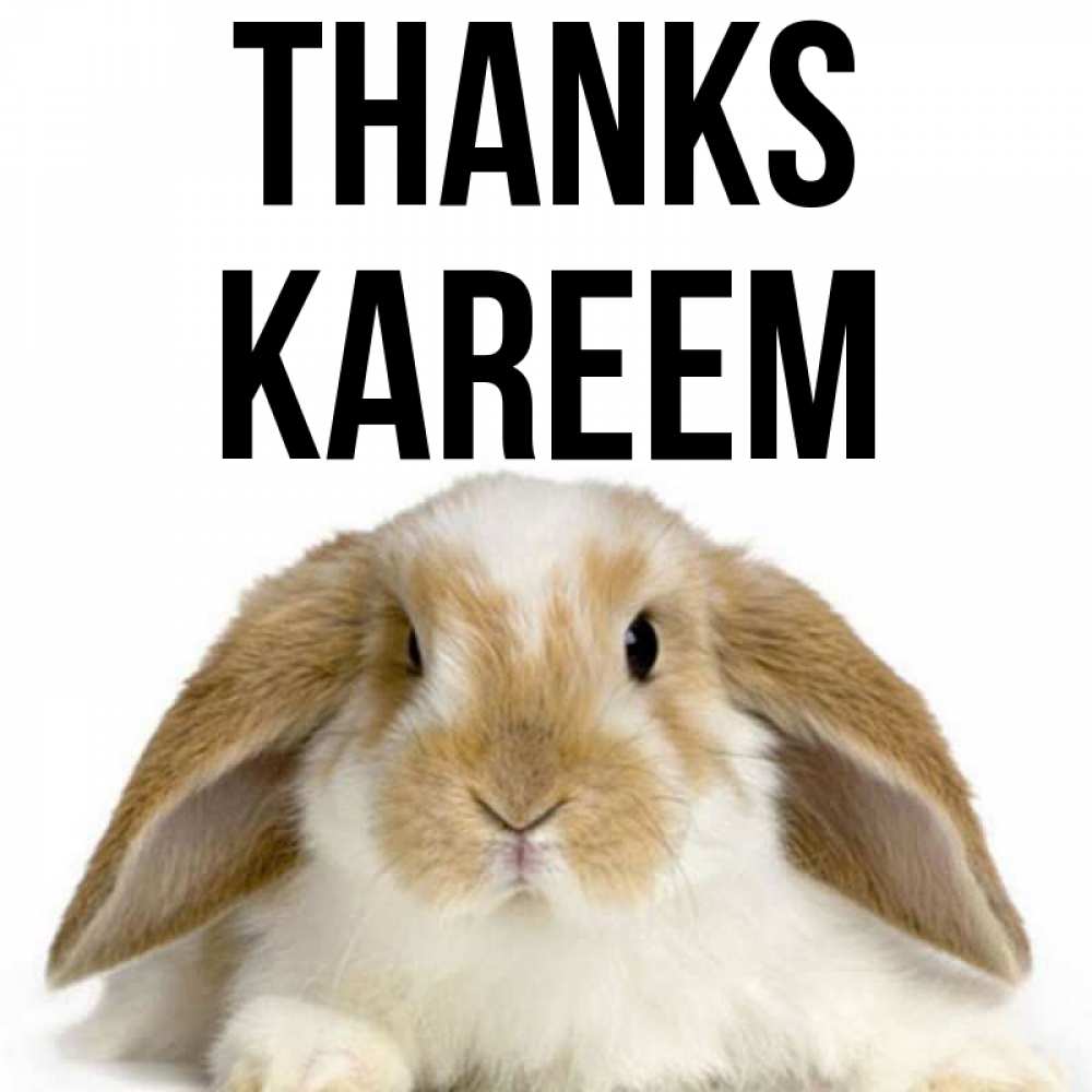 Greetings card с именем, Kareem Thanks коричнево белый заяц Greetings with text for free download 