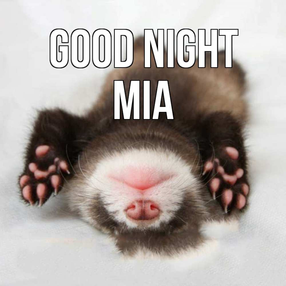 Greetings card с именем, Mia Good night зверек Greetings with text for free download 