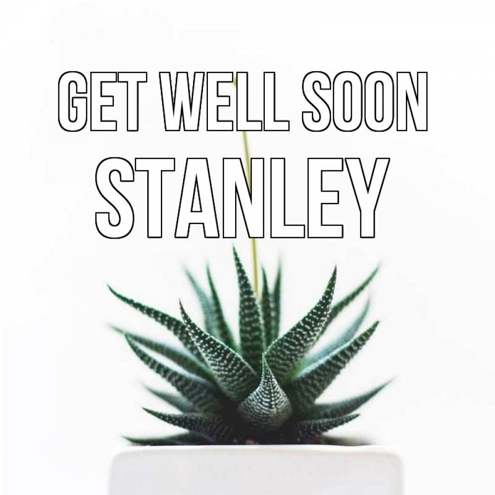 Greetings card с именем, Stanley Get well soon короче это непонятная колючка Greetings with text for free download 