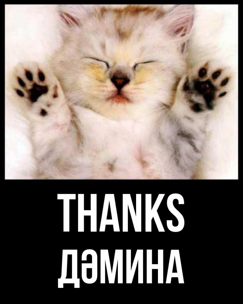Greetings card с именем, ДӘМИНА Thanks маленький котенок Greetings with text for free download 