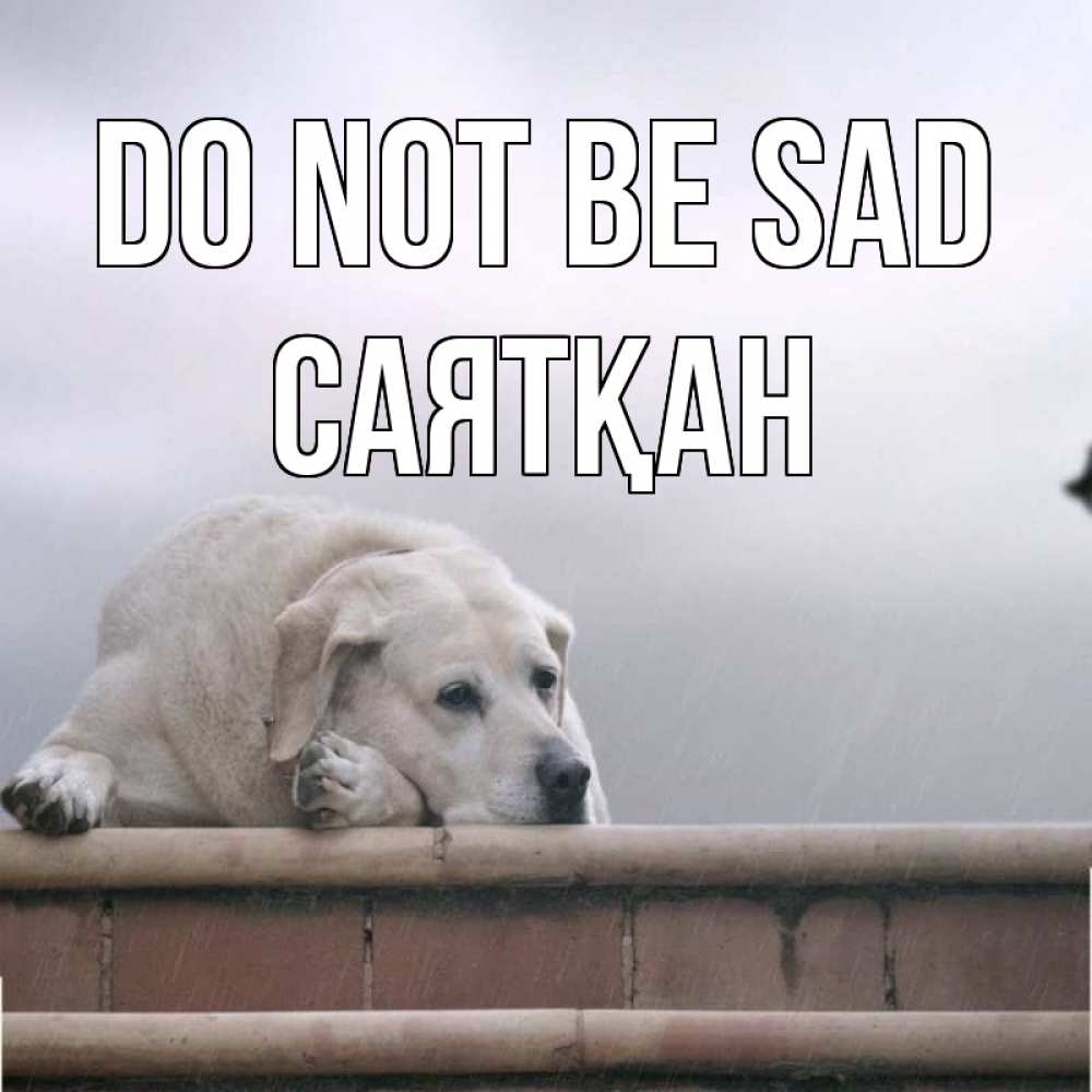 Greetings card с именем, САЯТҚАН Do not be sad белый пес 1 Greetings with text for free download 
