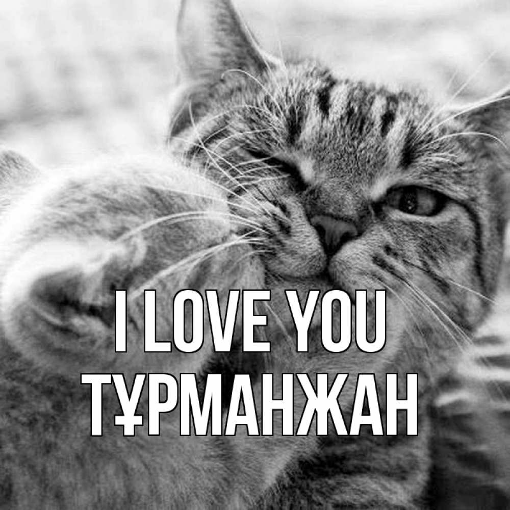 Greetings card с именем, ТҰРМАНЖАН I love you коты Greetings with text for free download 