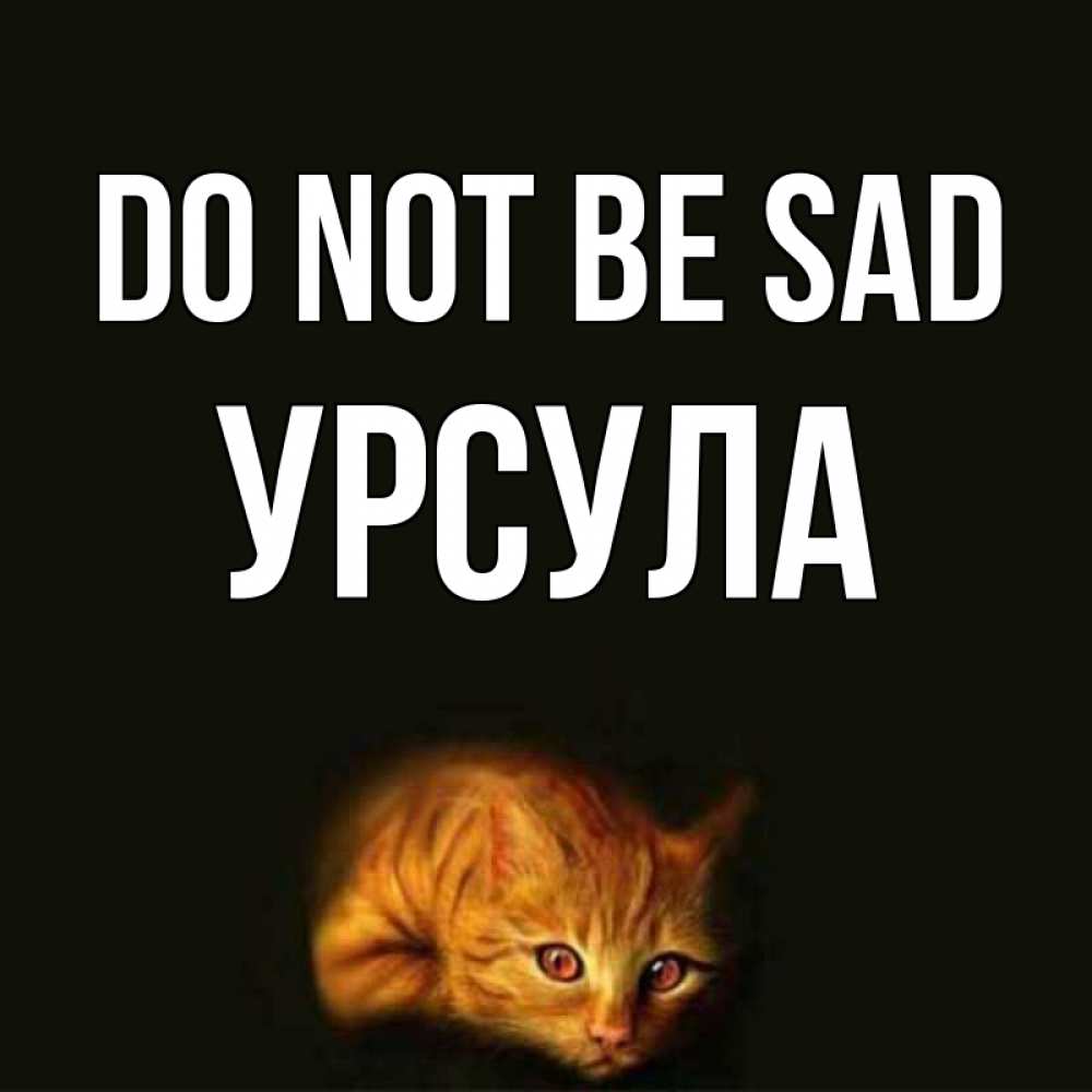 Greetings card с именем, Урсула Do not be sad лежащий кот в темноте Greetings with text for free download 