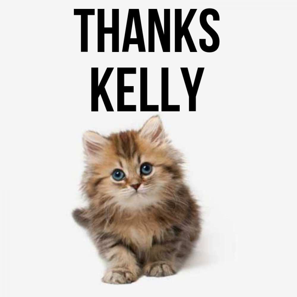 Greetings card с именем, Kelly Thanks пушистый котик Greetings with text for free download 