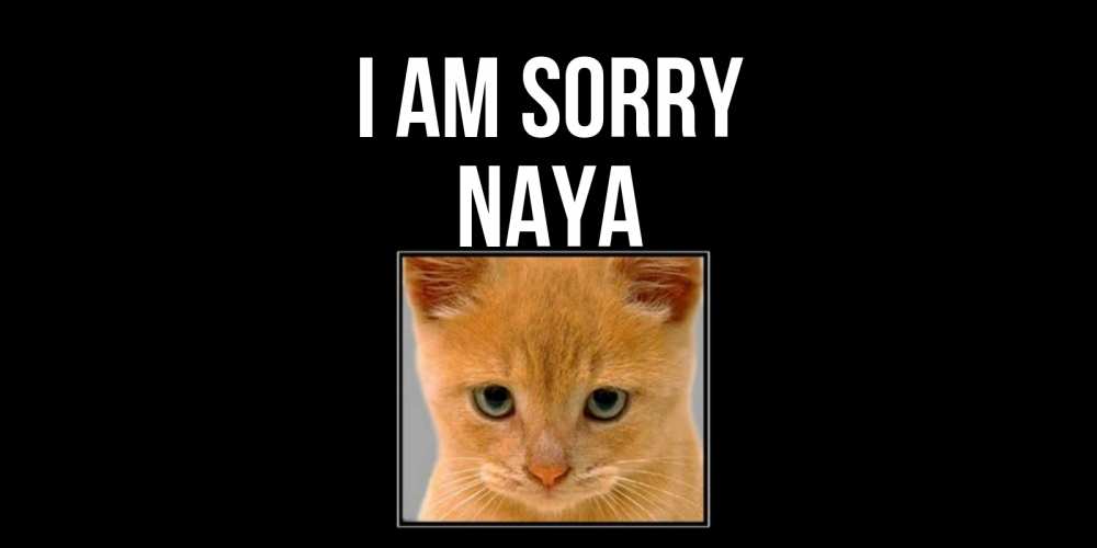 Greetings card с именем, Naya I am sorry рыжий грустный кот просит прощения Greetings with text for free download 