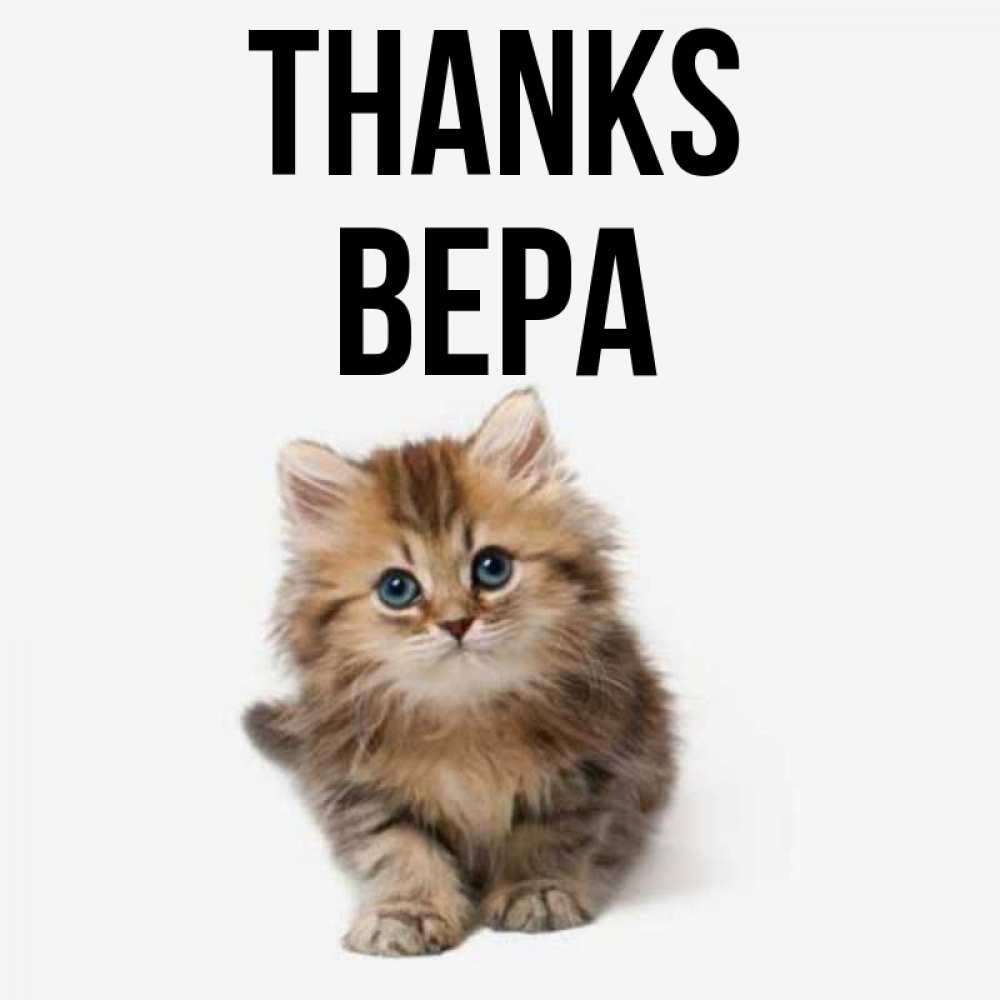 Greetings card с именем, Вера Thanks пушистый котик Greetings with text for free download 