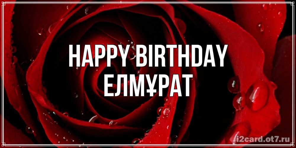 Greetings card с именем, Елмұрат Happy Birthday крупная бордовая роза Greetings with text for free download 