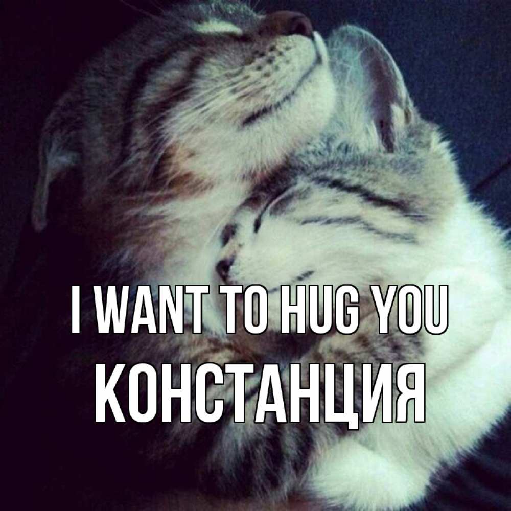 Greetings card с именем, Констанция I want to hug you полосатики Greetings with text for free download 
