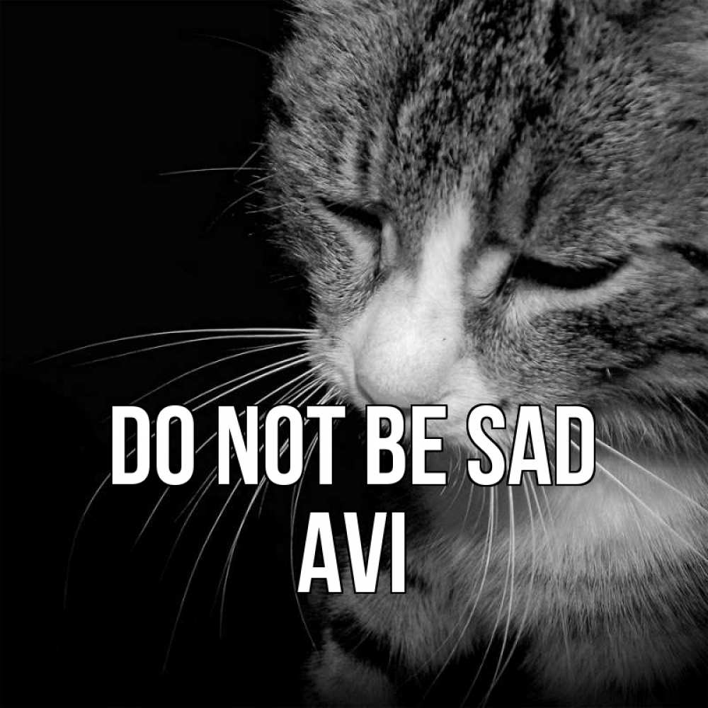 Greetings card с именем, Avi Do not be sad грустный котик Greetings with text for free download 
