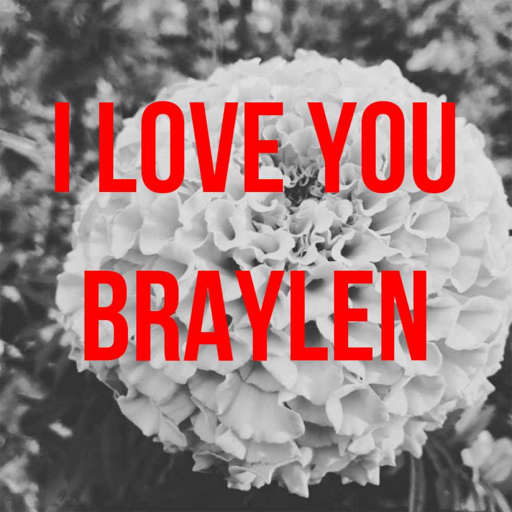 Greetings card с именем, Braylen I love you подпись Greetings with text for free download 