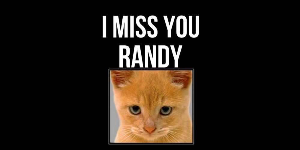 Greetings card с именем, Randy I miss you открытки рыжий котенок скучает по тебе Greetings with text for free download 