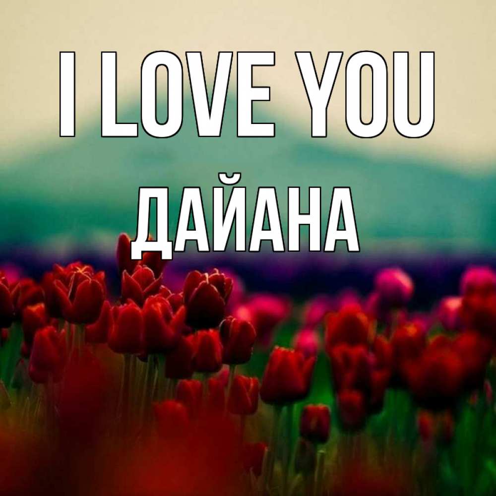 Greetings card с именем, ДАЙАНА I love you тюльпаны 4 Greetings with text for free download 