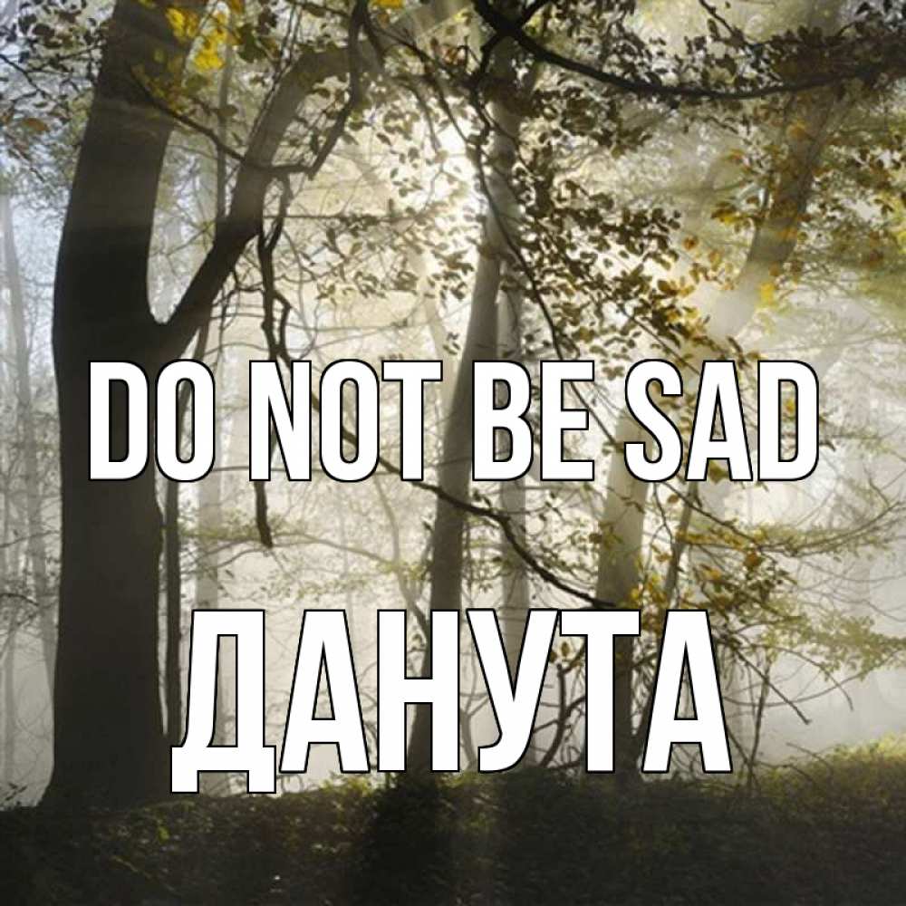 Greetings card с именем, Данута Do not be sad лес и свет Greetings with text for free download 