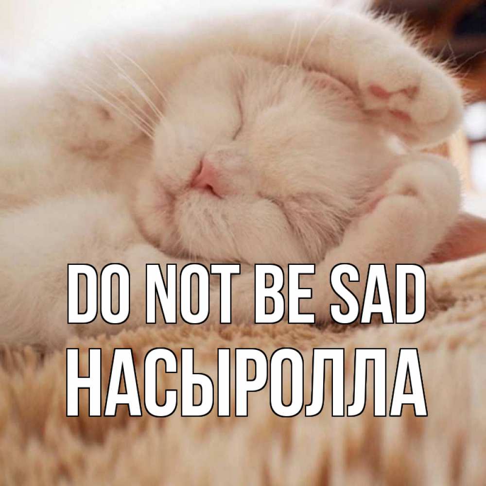 Greetings card с именем, Насыролла Do not be sad белый кот Greetings with text for free download 