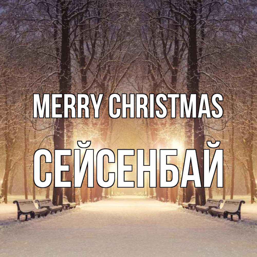 Greetings card с именем, СЕЙСЕНБАЙ Merry Christmas зима, парк, фонарь, лес Greetings with text for free download 