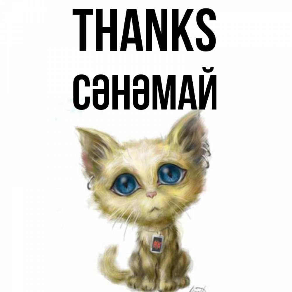 Greetings card с именем, СӘНӘМАЙ Thanks рисованный кот благодарит вас Greetings with text for free download 