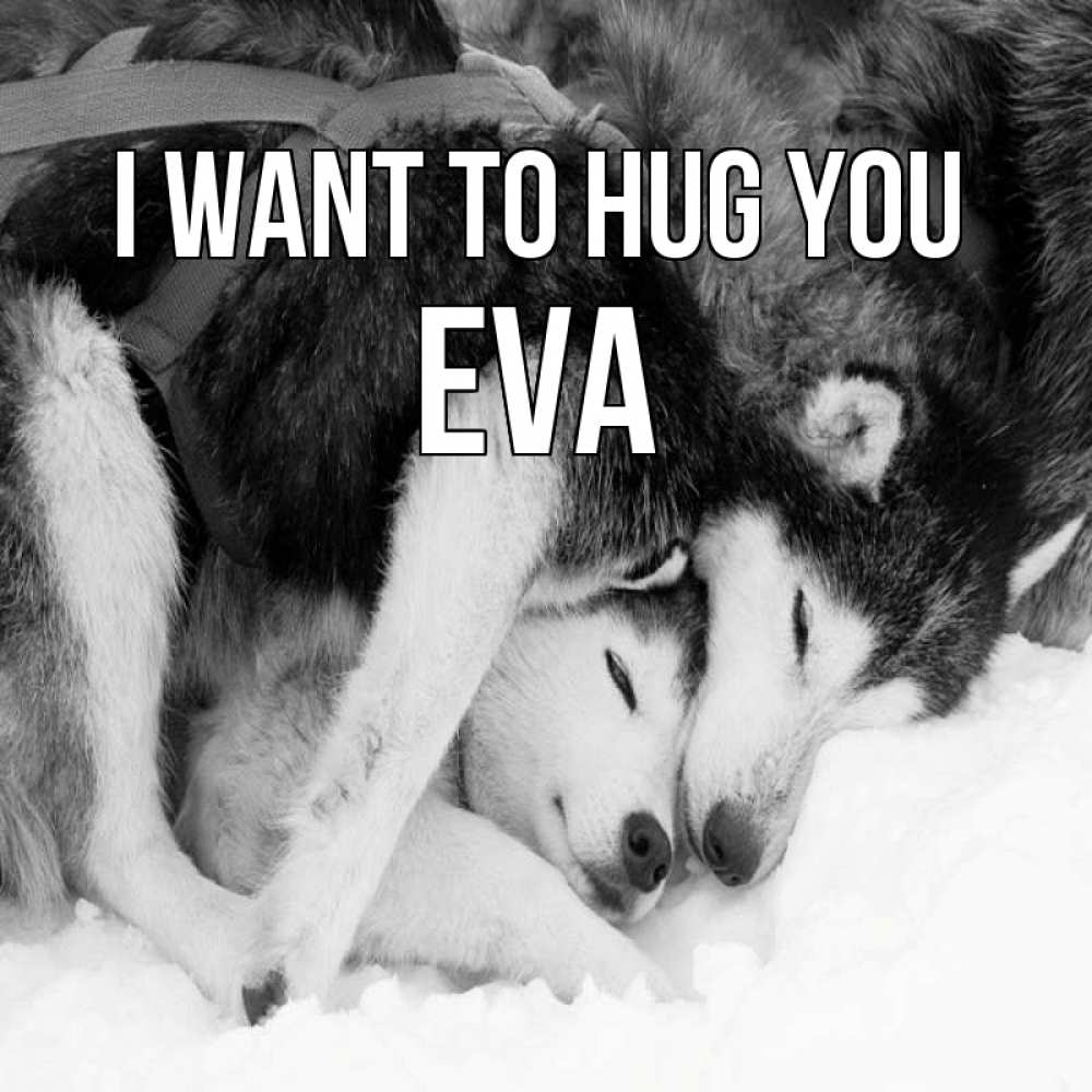 Greetings card с именем, Eva I want to hug you собачки в упряжке Greetings with text for free download 