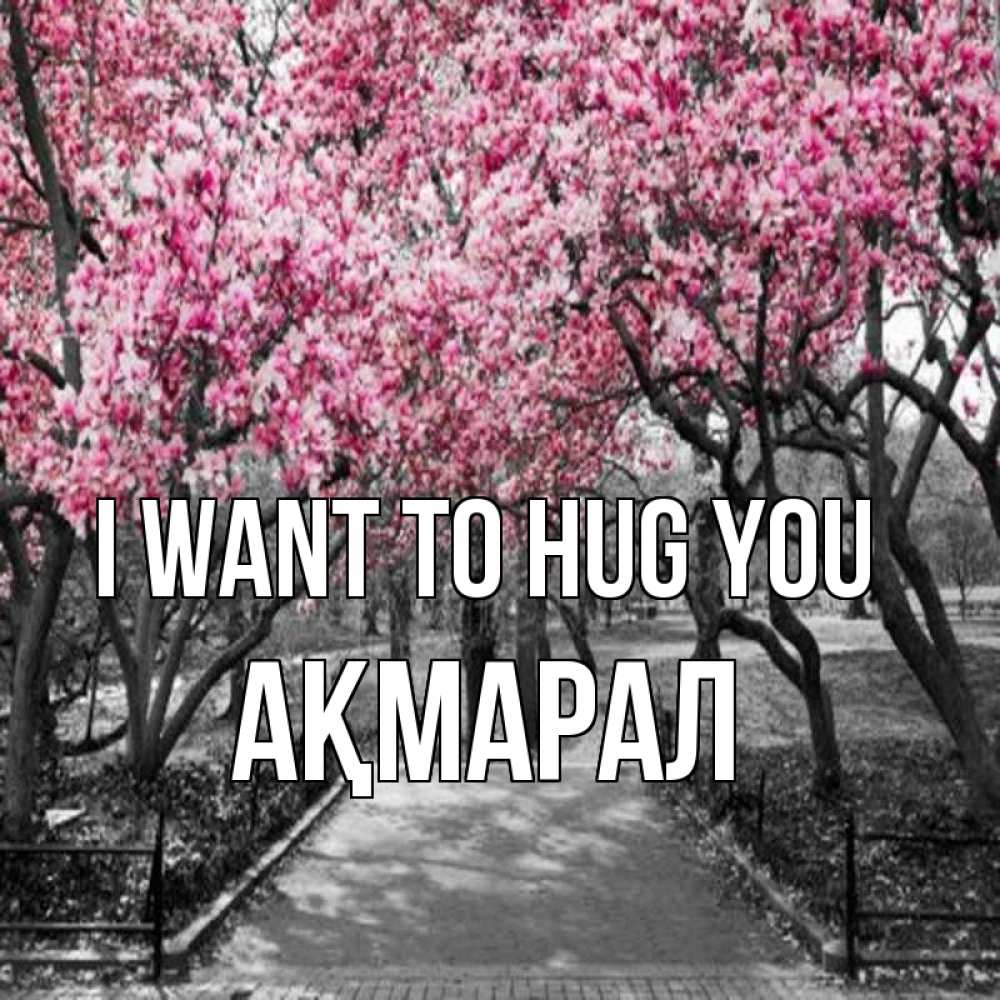 Greetings card с именем, АҚМАРАЛ I want to hug you обработанное фото Greetings with text for free download 