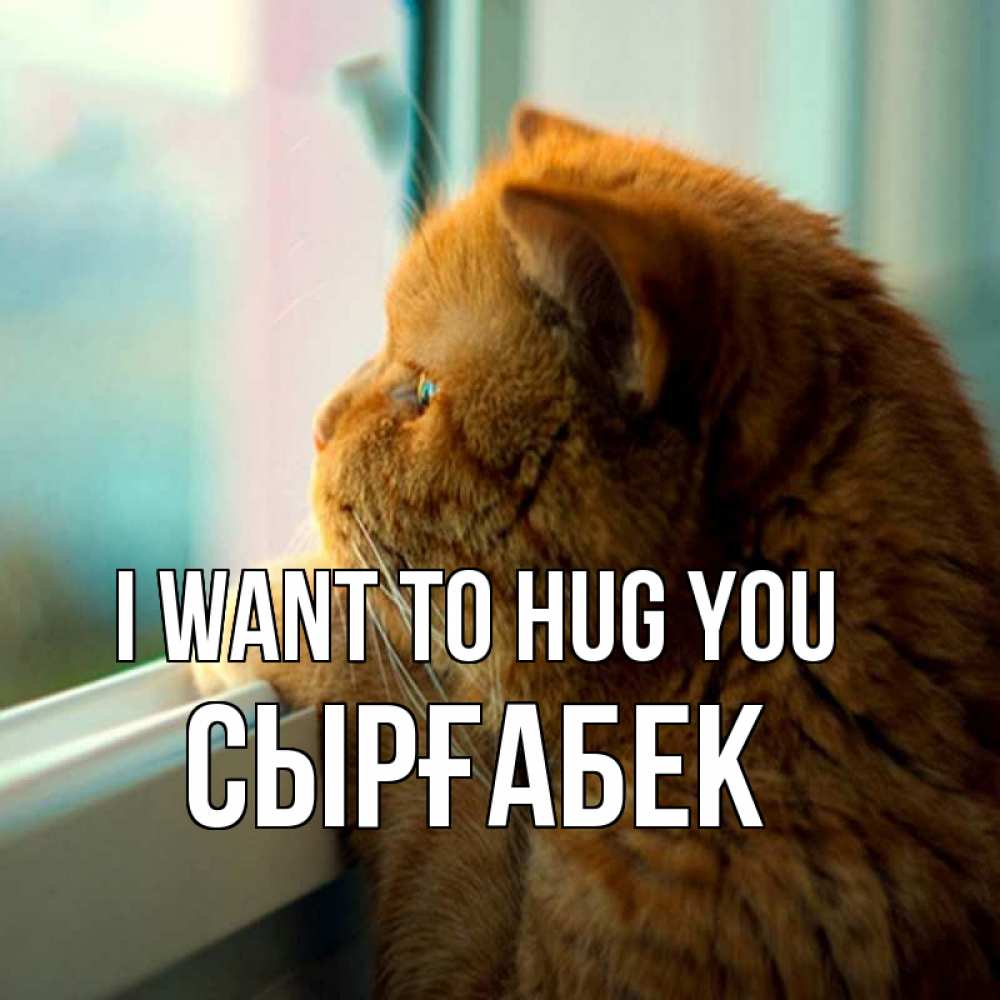 Greetings card с именем, СЫРҒАБЕК I want to hug you большой огромный рыжий котяра Greetings with text for free download 