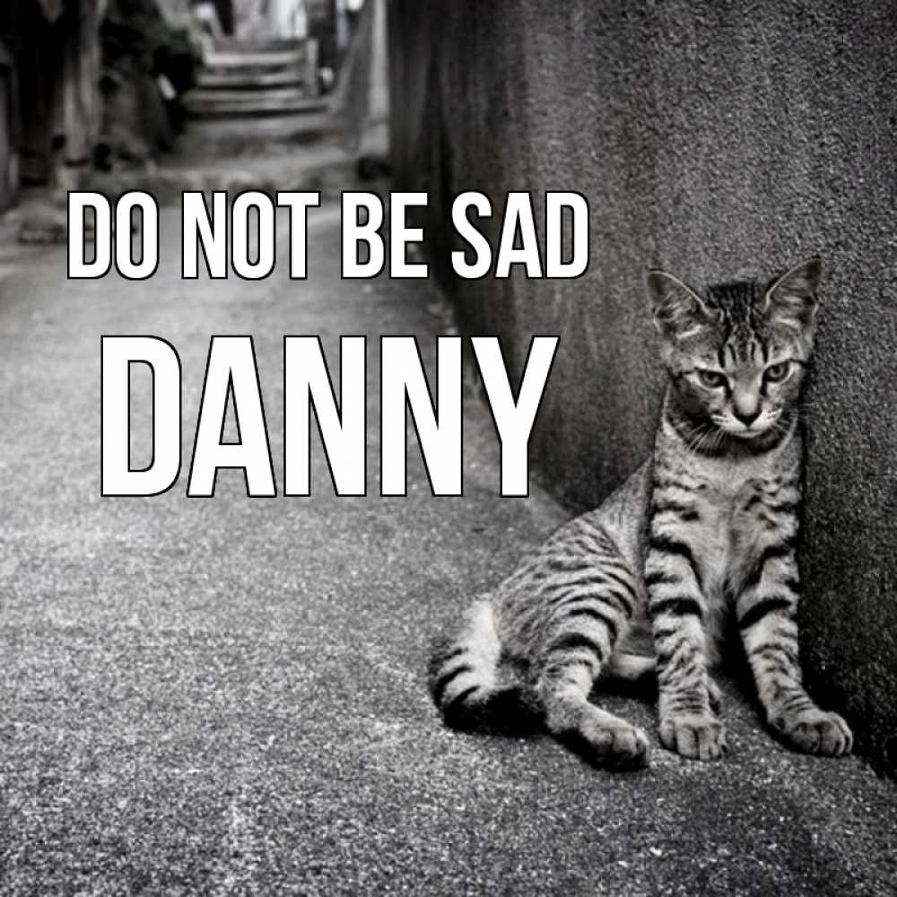 Greetings card с именем, Danny Do not be sad скучающий котик Greetings with text for free download 