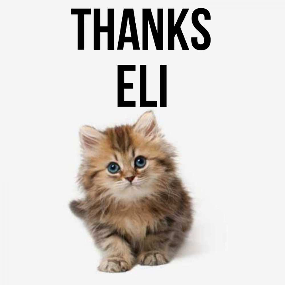Greetings card с именем, Eli Thanks пушистый котик Greetings with text for free download 