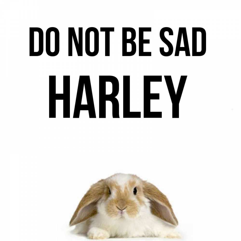 Greetings card с именем, Harley Do not be sad коричнево белый заяц с большими ушками Greetings with text for free download 