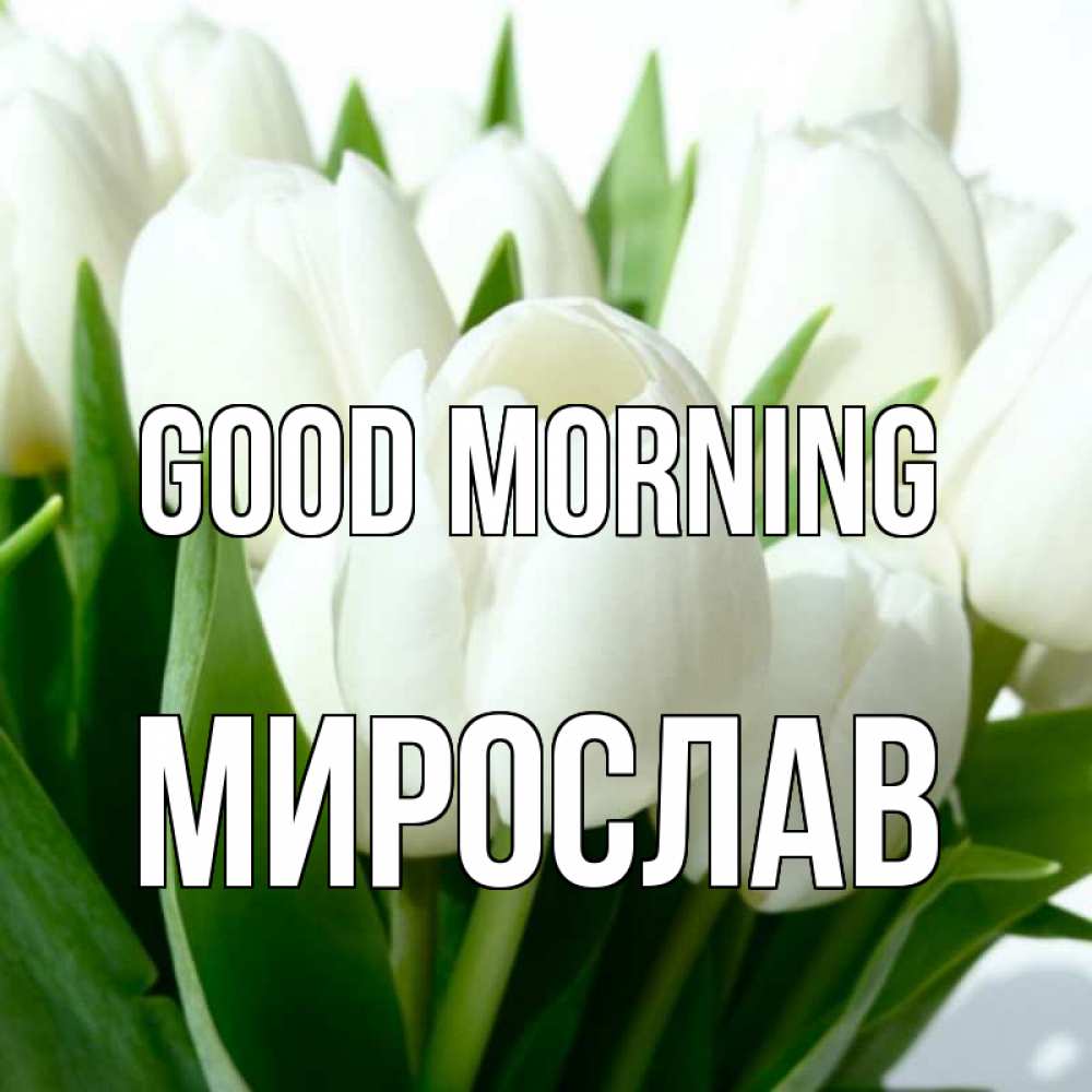 Greetings card с именем, Мирослав Good morning открытки на каждый день по именам Greetings with text for free download 
