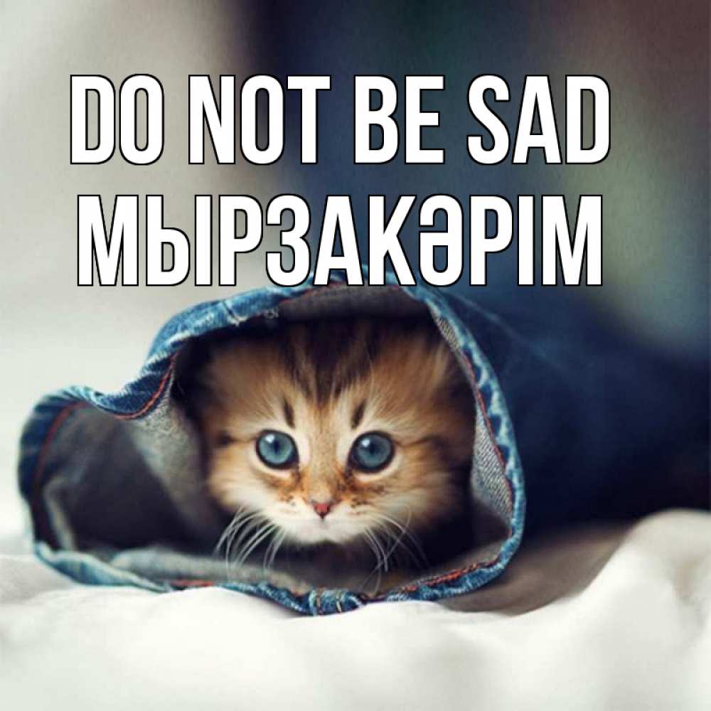 Greetings card с именем, Мырзакәрім Do not be sad рыжик котик Greetings with text for free download 