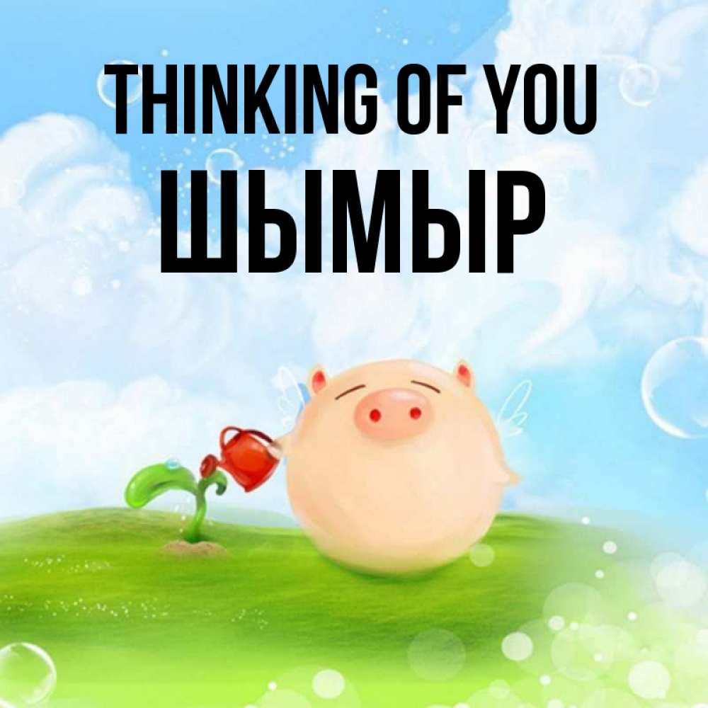 Greetings card с именем, ШЫМЫР Thinking of you позитивная свинюшка Greetings with text for free download 